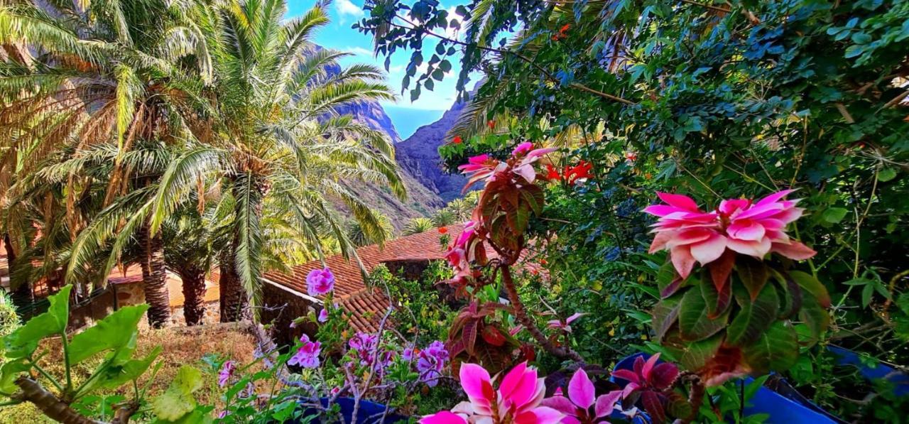 Paradise Tenerife San Miguel de Abona Exterior photo